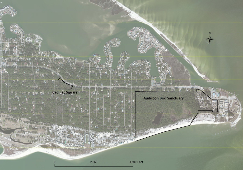 Dauphin Island Conservation Easement Dauphin Island Conservation Easement